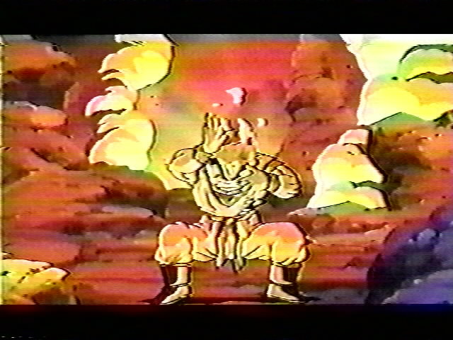 Dragonball Z Movie 9 (26).jpg